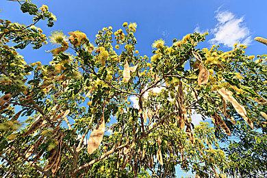 Epic商城联合夏日游戏节 新展示会6月11日凌晨举行